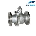 MARINE VALVE 0007