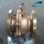 MARINE VALVE 0028